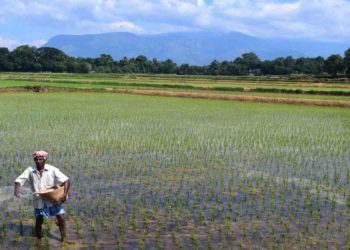 Biofertilizer not compulsory: Tomar in House