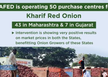 Relieved Farmers: Nafed intervention help stabilize onion prices