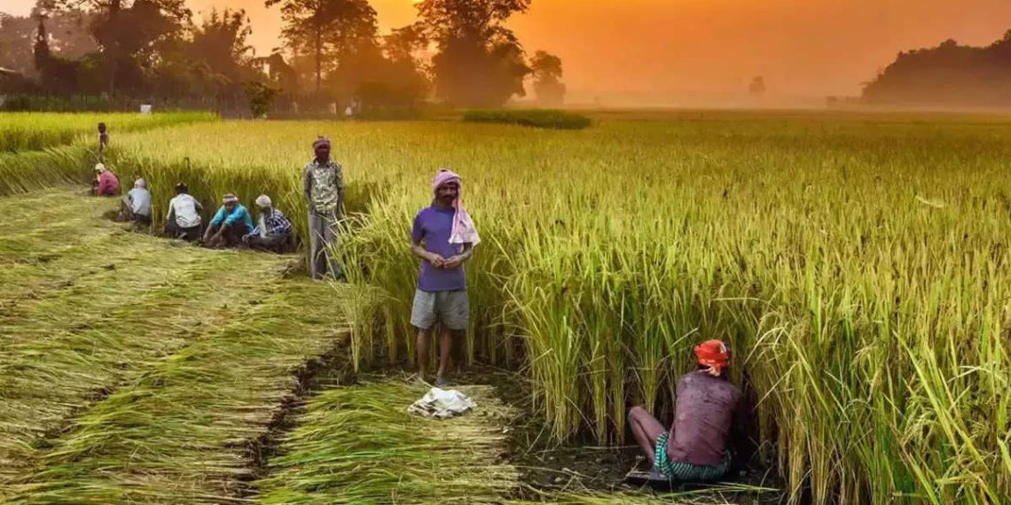 Maha has highest number of viable PACS, Delhi has none