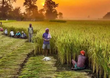 Maha has highest number of viable PACS, Delhi has none