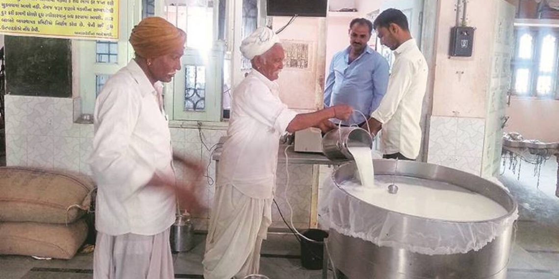 GCMMF to procure milk from TN