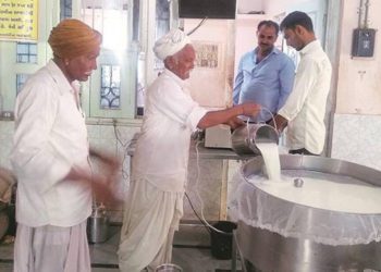 GCMMF to procure milk from TN