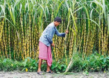 Sugar Co-ops: Farmers protest against non-payment