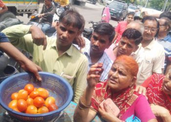 NCCF sells 560 tonnes tomatoes in a fortnight