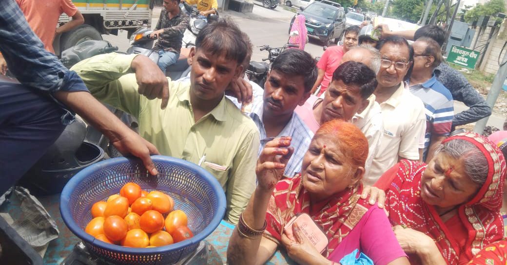 NCCF sells 560 tonnes tomatoes in a fortnight