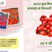 NAFED & NCCF gear up to ease tomato woes of people