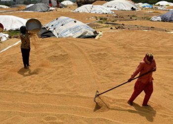 Largest Grain Storage in Co-op Sector, being rolled out: Shah