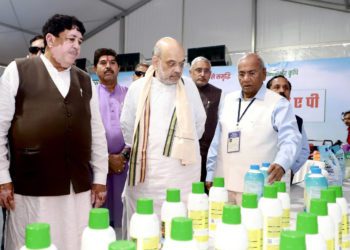 Sanghani-Awasthi duo assures Shah of achieving PM’s Vision