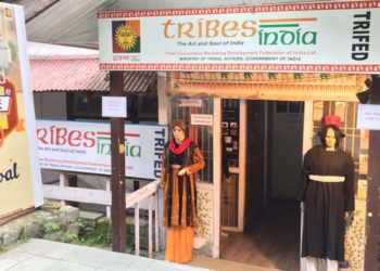 TRIFED: officials boycott Chairman’s meeting in Thakur’s presence