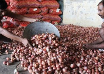 NAFED-NCCF to procure additional onions from farmers