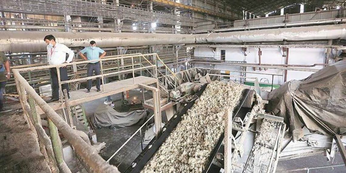 Jalandhar co-op generates electricity from paddy stubble