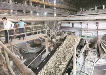 Jalandhar co-op generates electricity from paddy stubble