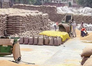 Odisha asked to identify PACS for grain storage