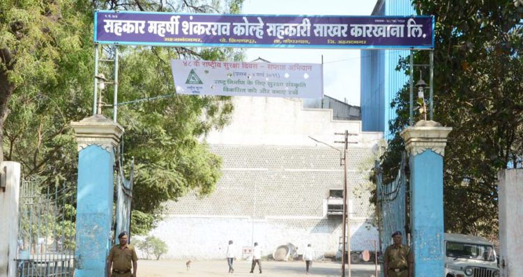 Diversify sugar co-op factory into food processing hub in lean season: Kolhe