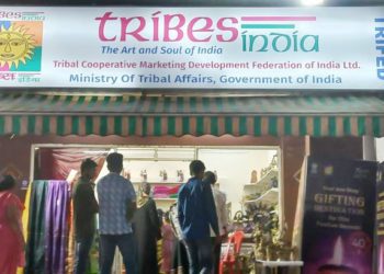 TRIFED MD Gitanjali Gupta transferred to Niti Aayog