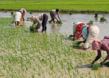 13 crore farmers linked with PACS so far: Amit Shah