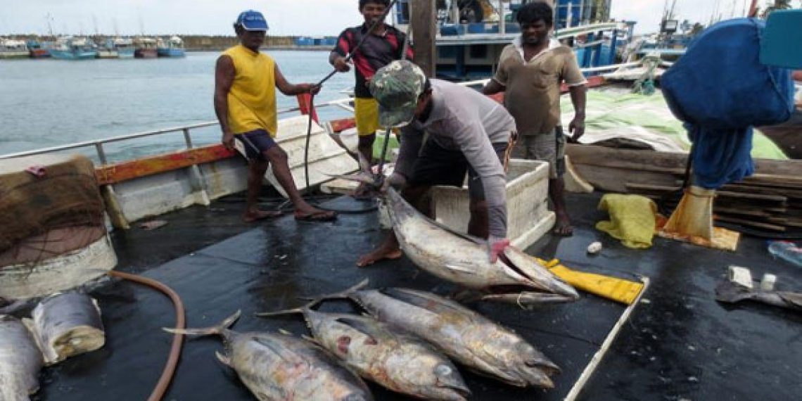 Govt committed to boost fisheries co-ops: Minister