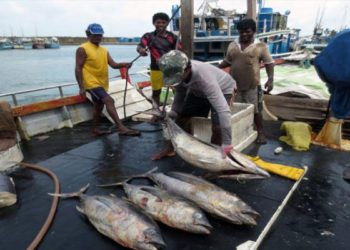Govt committed to boost fisheries co-ops: Minister