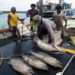 Govt committed to boost fisheries co-ops: Minister