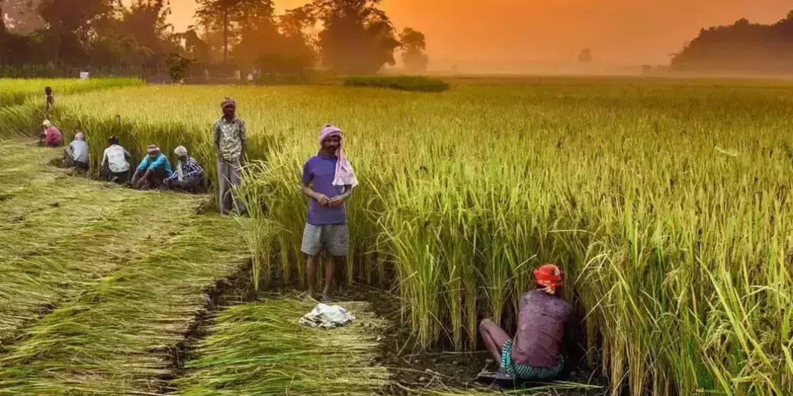 Computerization: Trials begin in 5673 PACS across country