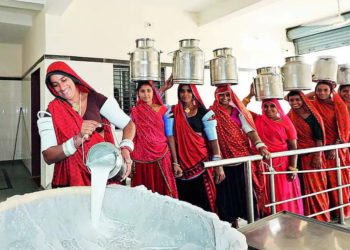 Amul’s competition with Aavin: Shah clarifies on dairy scene in India