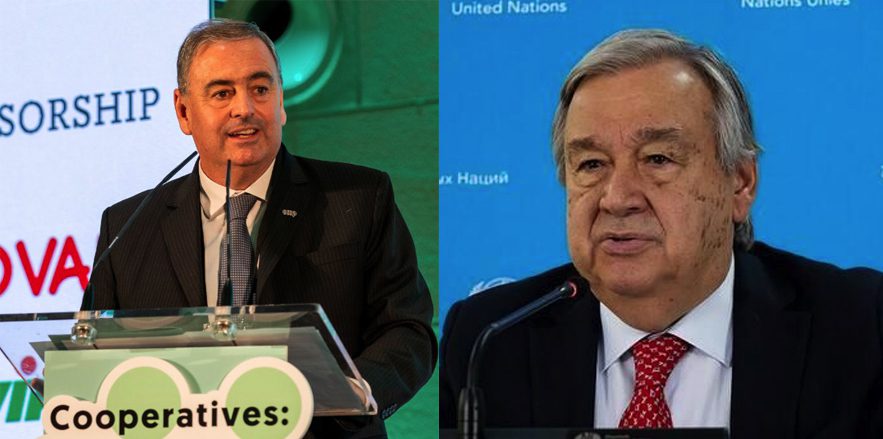 Despite huge potentials, co-ops play smaller roles: UN Report