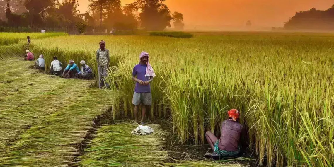 Centre gives Rs 43.81cr to Rajasthan for computerization