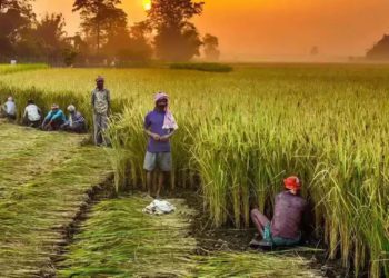 Centre gives Rs 43.81cr to Rajasthan for computerization