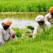 1500 farmers also to participate in 75th R Day