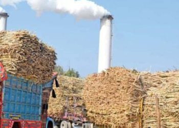 India’s Sugar Industry achieves record production