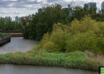 New year, new co-ops on the rise around the UK