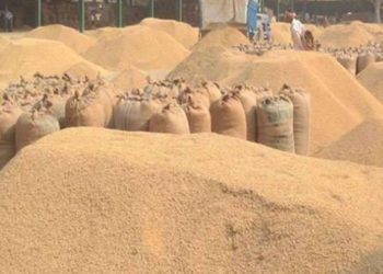 Chhattisgarh poised to achieve massive paddy procurement