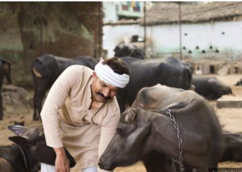 Indian government exempts dairy co-ops from income tax