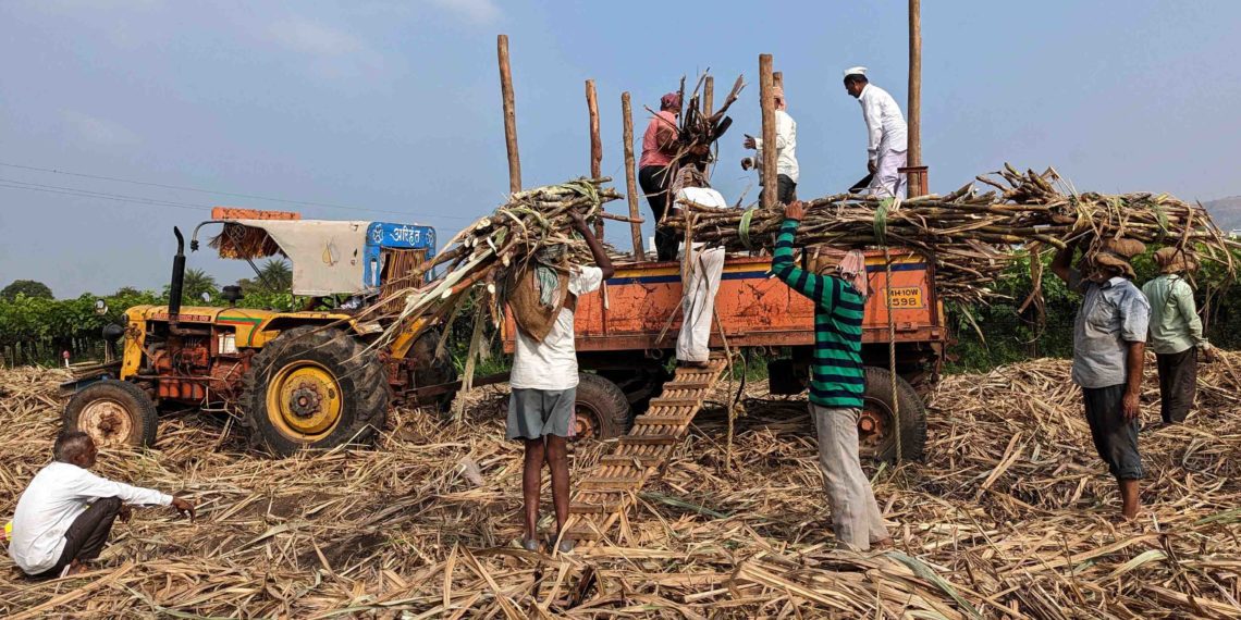 India notes upsurge in sugar production: Chairman, NFCSFL