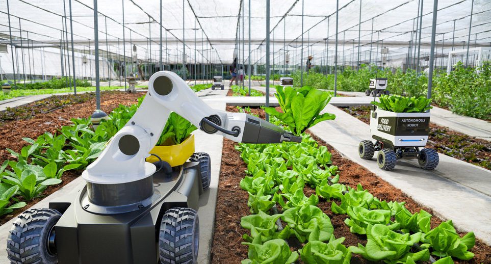 Ministry implements AI Solutions to revolutionize farming