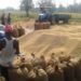 Chhattisgarh sets new record of paddy procurement