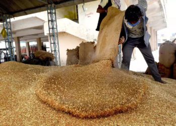 NCEL bags huge order to export sugar & wheat flour