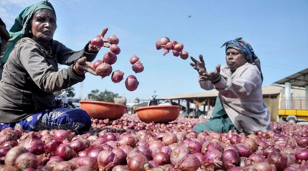 Fighting off crisis: Govt asks NAFED & NCCF to procure onions