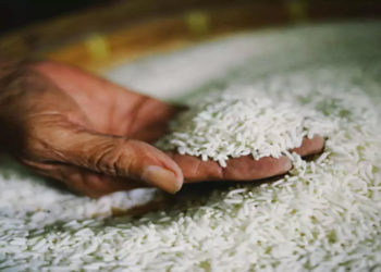 NCEL poised to export white rice to Singapore