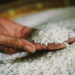 NCEL poised to export white rice to Singapore