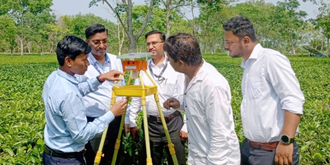 NABARD & IKSL launch Innovative Project for Tea Growers