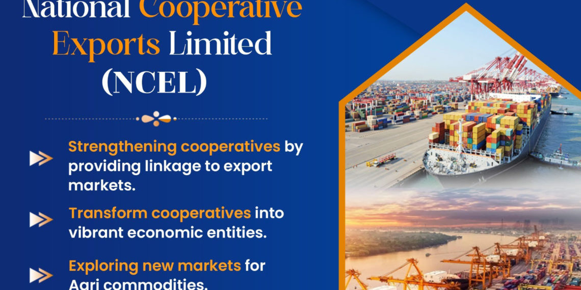 7,500 members & Rs 2,000cr in exports! NCEL remarkable growth story