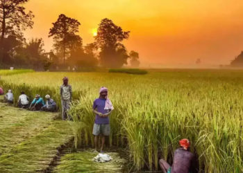 Odisha: PACS ready to offer RTGS Services; FPOs launch Export Initiatives