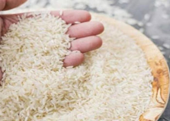 NCEL to export non-Basmati rice to Namibia