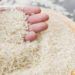 NCEL to export non-Basmati rice to Namibia