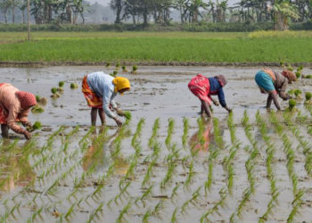 4,532 PACS of Tamil Nadu being spruced up: Shah