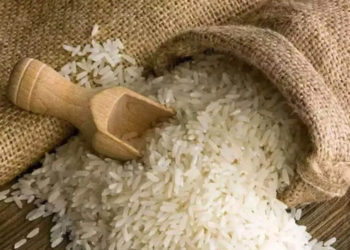 NCEL to export 2 lakh tonnes of rice to Malaysia