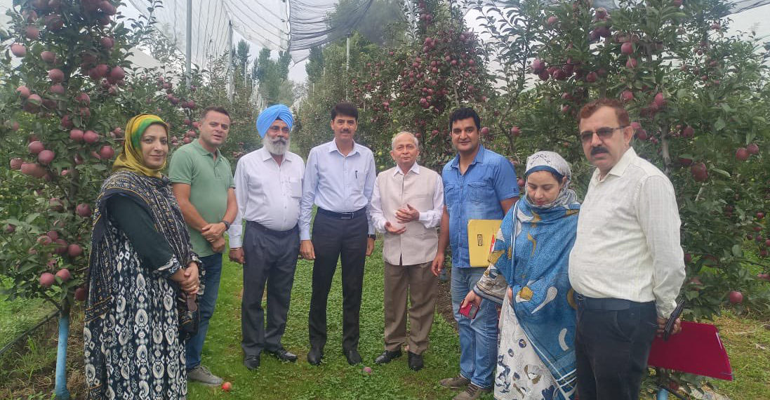 J&K: Nano boosts apple production; farmers’ profits surge by 20%