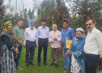 J&K: Nano boosts apple production; farmers’ profits surge by 20%