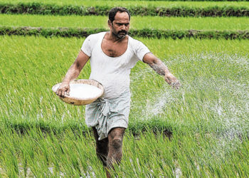 Govt intensifying efforts for self-sufficiency in P&K fertilizers